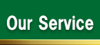 Our Service